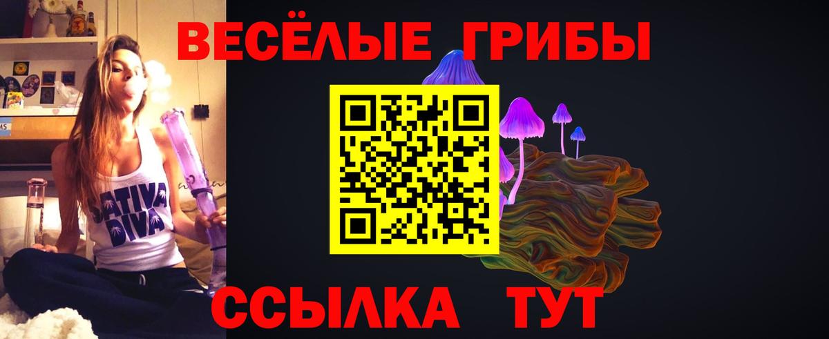 Псилоцибиновые грибы Psilocybe Лабинск